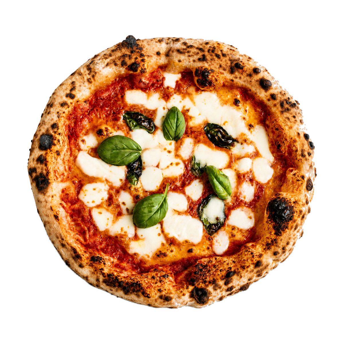 Margherita Pizza pizza